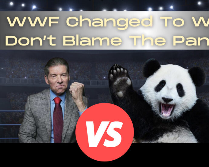 Why WWF changed to WWE