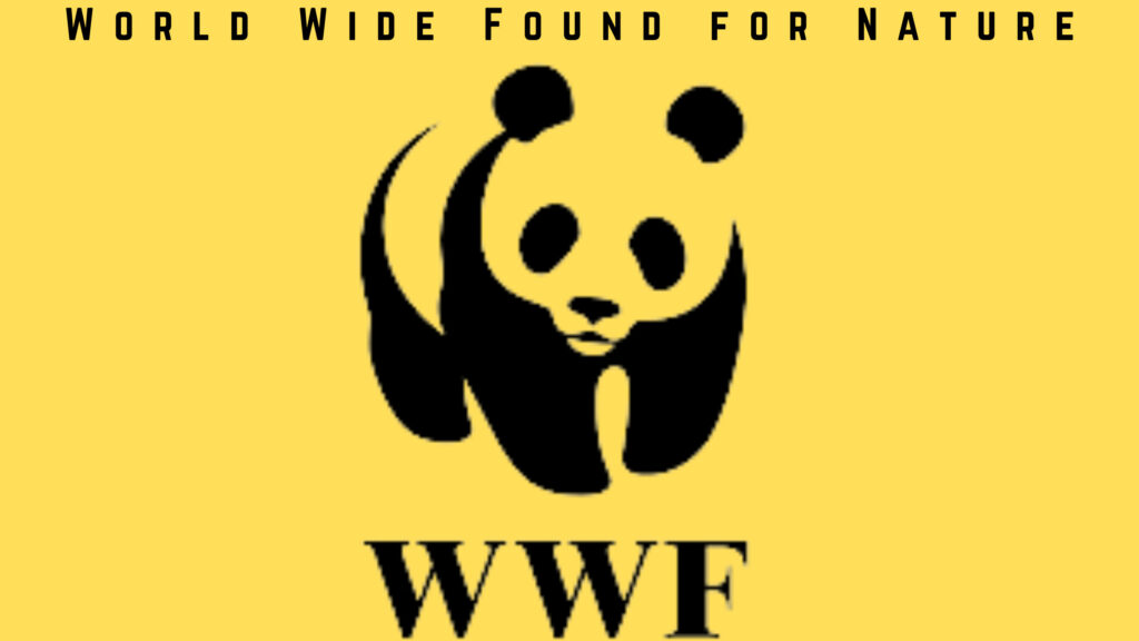 WWFN Logo