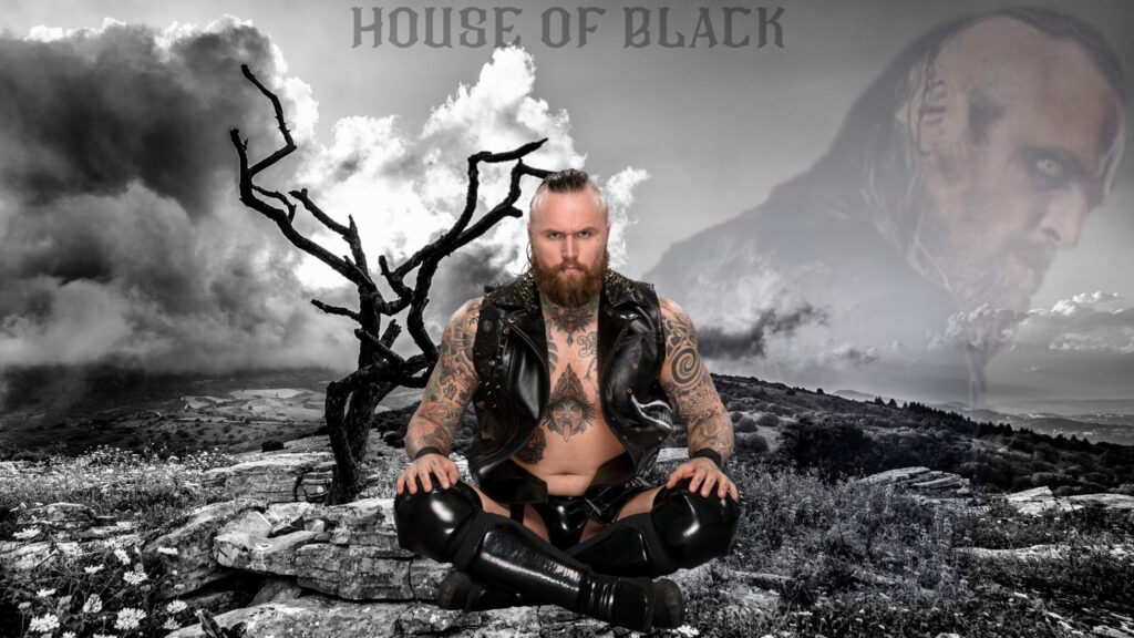 Best European Pro Wrestlers In The Active - TOP 10 11 Malakai Black House of Black