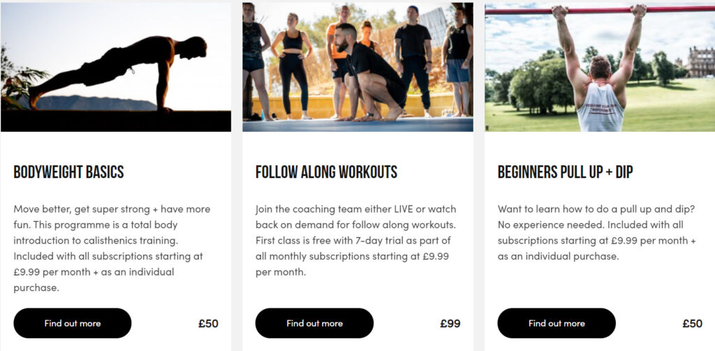 School of Calisthenics Review - My Honest 2 Cents 8 School of Calisthenics Review - My Honest 2 Cents 7
