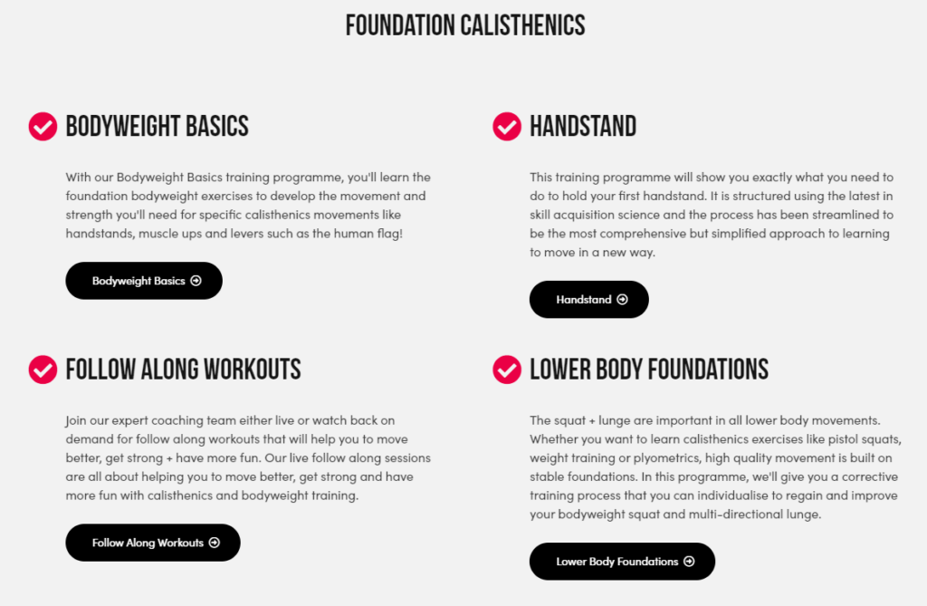 School of Calisthenics Review - My Honest 2 Cents 3 School of Calisthenics Review - My Honest 2 Cents 2