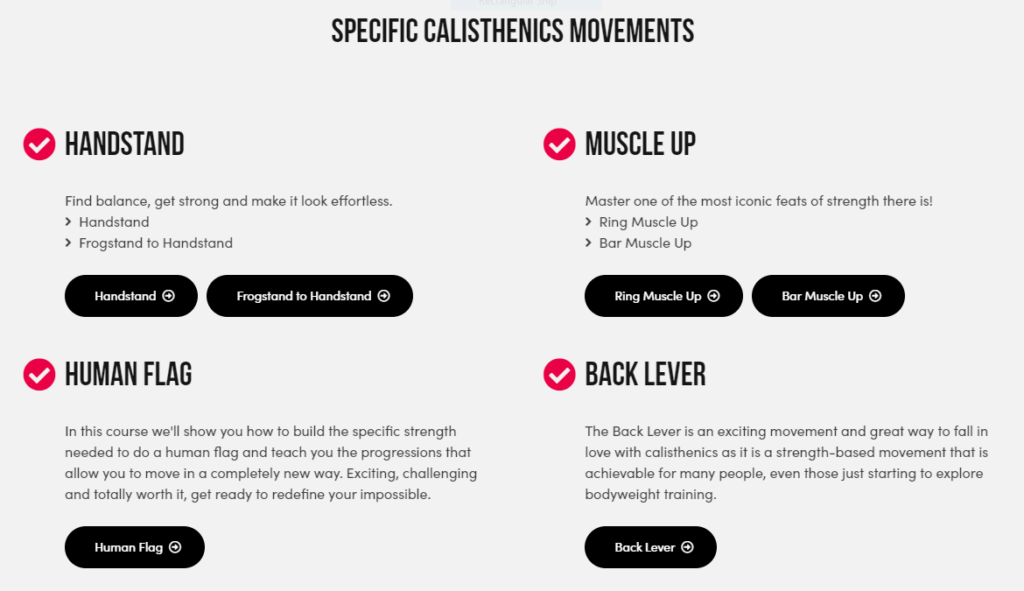 School of Calisthenics Review - My Honest 2 Cents 4 School of Calisthenics Review - My Honest 2 Cents 3
