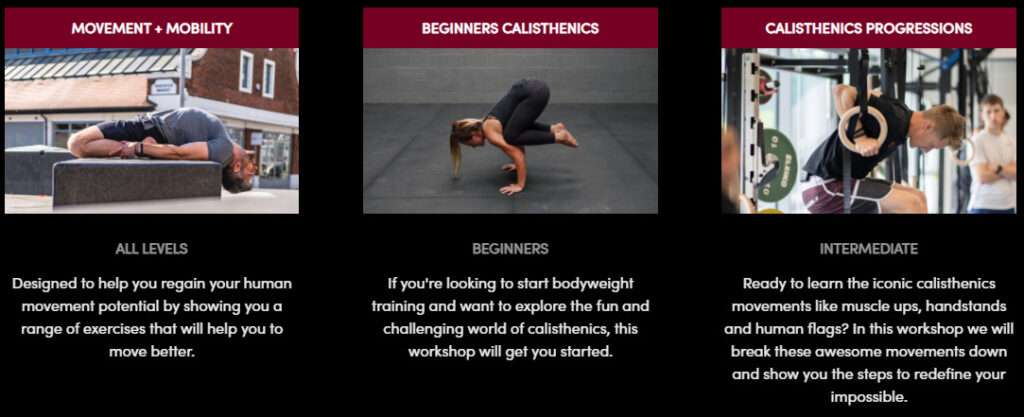 School of Calisthenics Review - My Honest 2 Cents 13 School of Calisthenics Review - My Honest 2 Cents 12
